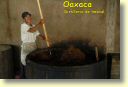 2830_Oaxaca,_visite_distillerie_de_mezcal.JPG