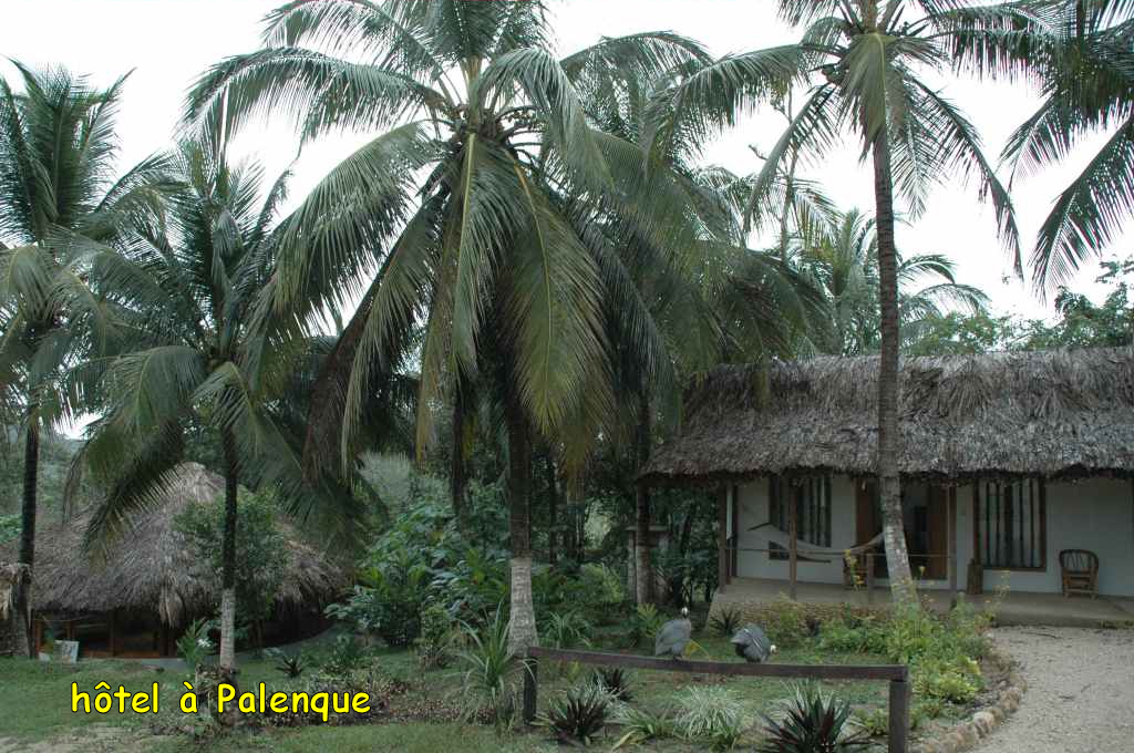 5680_Palenque,_hotel.JPG