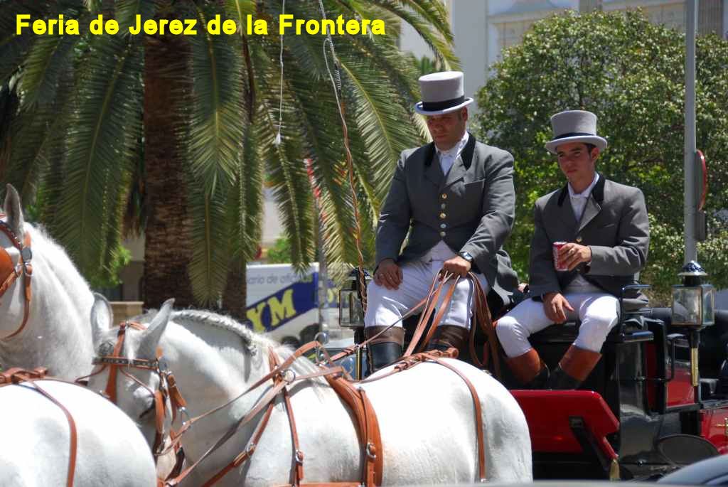 3050_Jerez,_feria_del_caballo_DSD_1513.JPG