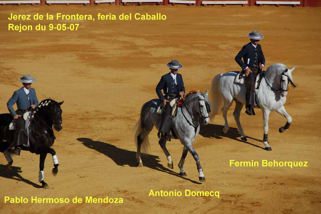 3320_Jerez,_feria_del_caballo_DSD_1546.JPG