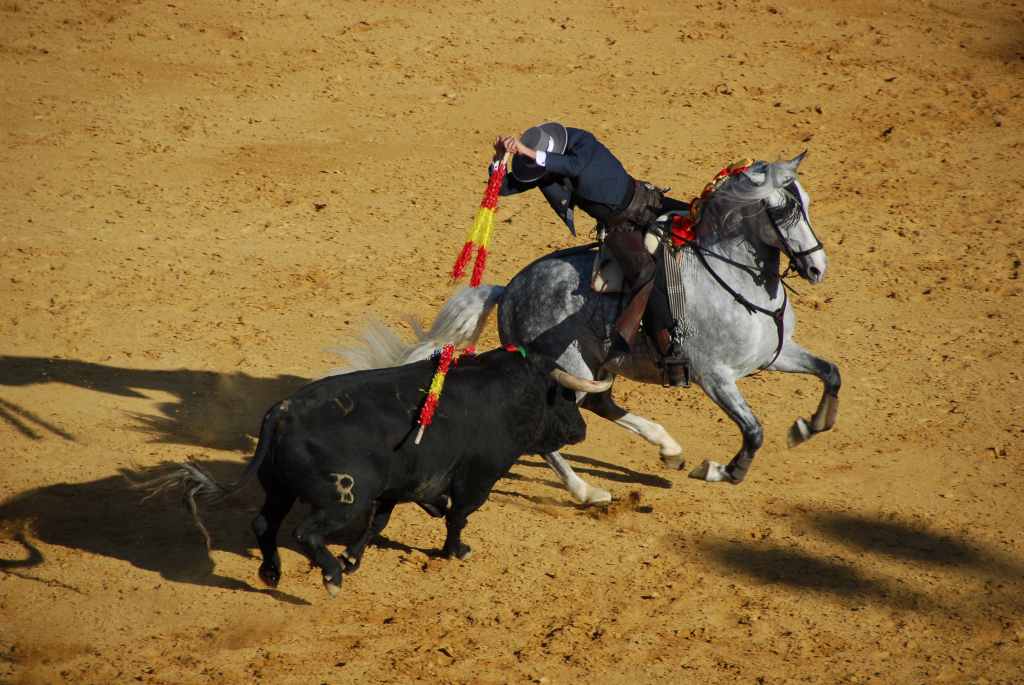 3650_Jerez,_feria_del_caballo_DSD_1581.JPG