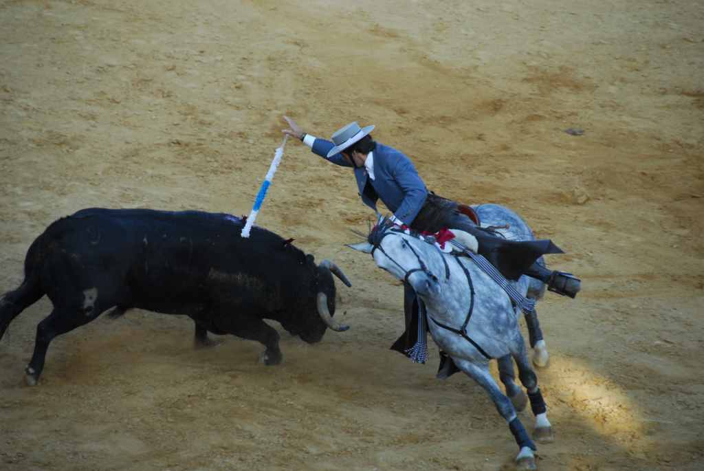 3660_Jerez,_feria_del_caballo_DSD_1582.JPG