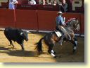 3460_Jerez,_feria_del_caballo_DSD_1561.JPG