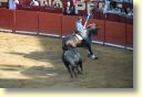3500_Jerez,_feria_del_caballo_DSD_1566.JPG