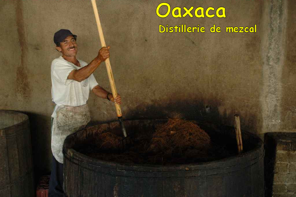 2830_Oaxaca,_visite_distillerie_de_mezcal.JPG