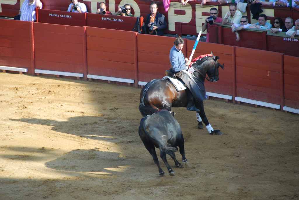 3500_Jerez,_feria_del_caballo_DSD_1566.JPG