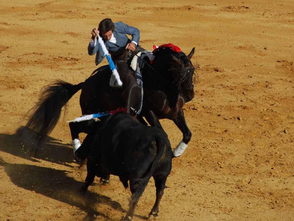 3510_Jerez,_feria_del_caballo_DSD_1567.JPG