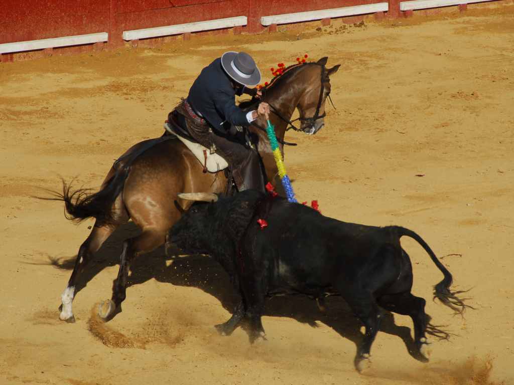 3620_Jerez,_feria_del_caballo_DSD_1578.JPG