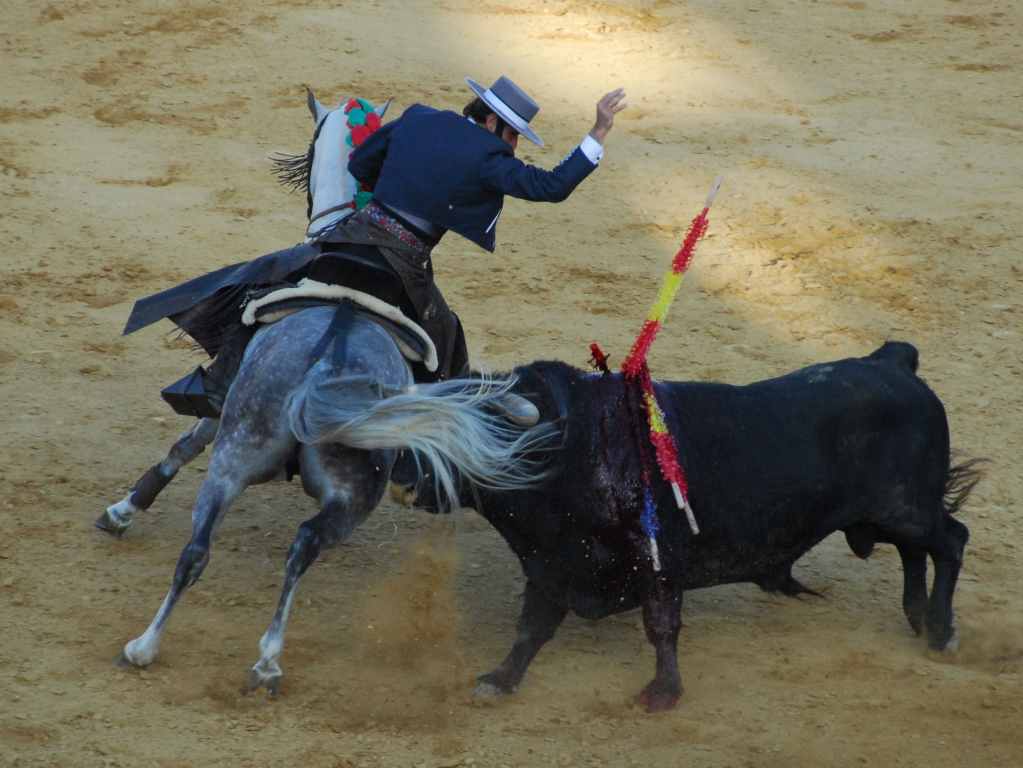 3772_Jerez,_feria_del_caballo_DSD_1598.JPG