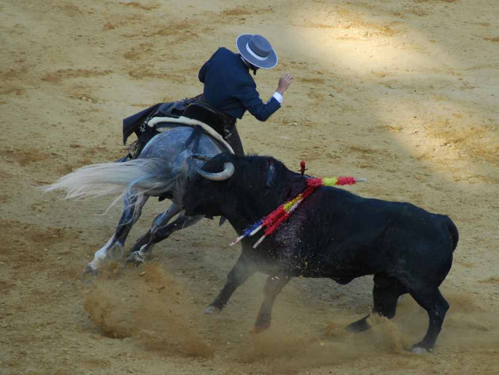 3773_Jerez,_feria_del_caballo_DSD_1599.JPG