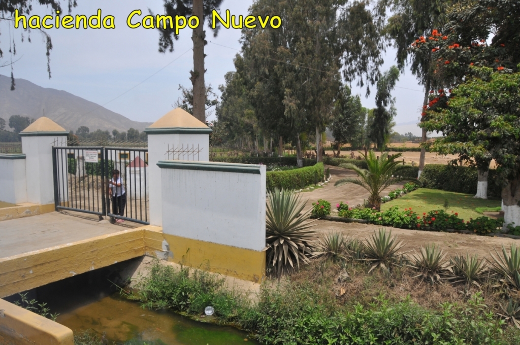 04250_hacienda_Campo_Nuevo_DSE_2581.JPG